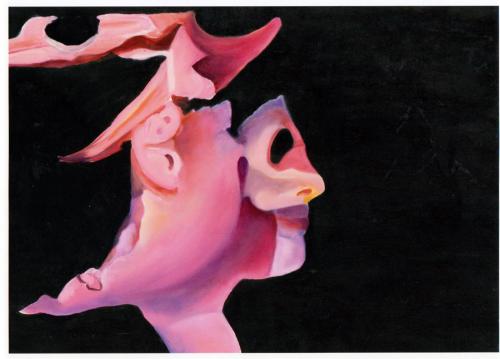 Enigmatic-Profile2008oil-on-canvas45x60
