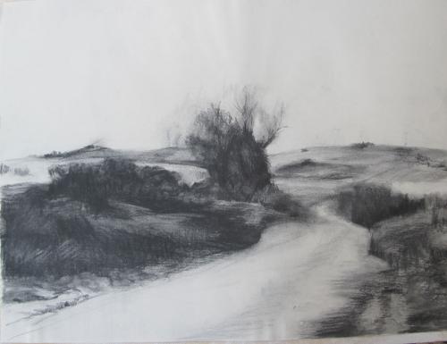 Landscape-2010-Charcoal-on-paper-45x61